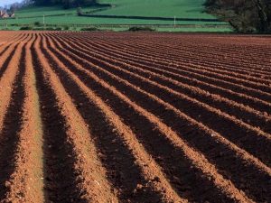 В Кировоградской области землю отбирают у рейдеров и возвращают жертвам