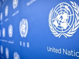 В ПРООН сомневаются в системе электронного декларирования